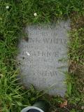 image of grave number 214254